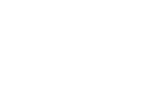 API Scraper